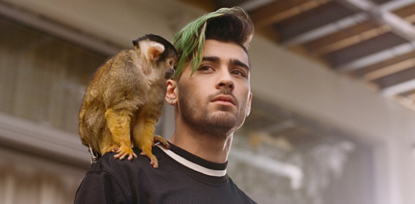 zayn-malik-leaving-one-direction-the-craziest-tweet